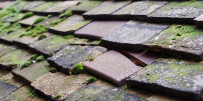 Clayworth roof repair costs